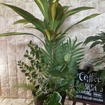 光触媒　人工観葉植物　ウォールグリーン　造花　インテリア　マッサンアレンジ88R