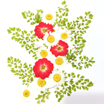 【F12】押し花アソートパックセット 〜Green rose〜