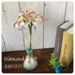 ky257様専用【💠再販】涼しげなダイヤモンドリリー✨💠麻布付