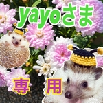 yayo様　専用です☺️💕