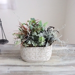ピレアのシャビーなインテリアグリーン＊Plantsギャザリング【一点もの】