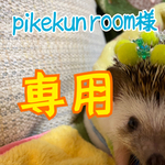 pikekun room様専用です☺️