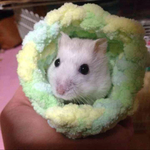 ハムスター  寝袋