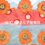 ゆずつぼあんず様専用