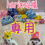 harion2様専用です☺️