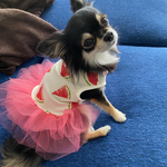 犬服 スイカ柄 チュールワンピース 夏 わんこ服 チュチュ