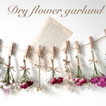 薔薇　かすみ草♡ドライフラワー♡洋書付き