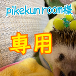 こちらはpikekun room様専用です