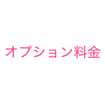 イヤリング変更代