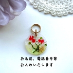 迷子札𓈒 𓂂𓏸金魚❁⃘