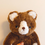 Kaoさまご注文　niimicoteddy