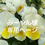 みーやん様専用ページ
