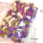 ♡new♡ ♡作家様必見♡ ♡スターチス　ドライフラワー♡