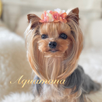 【 犬用🌸☂️バレッタ 】 おしゃれ　トップノットペット　子供　ヘアアクセサリー　リボン　バレッタ　♡AquaMana♡