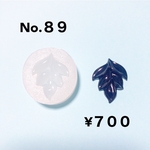 moonsnow 89