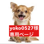 専用ページ