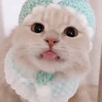 オリバーくんママ専用