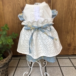 犬服　ガーリッシュ&小花ワンピース🌼完成品　Sサイズ
