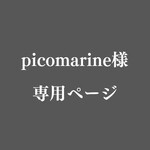 picomarine様専用ページ