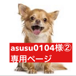 専用ページ