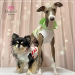小型犬用🐕色違いもおすすめ💛りんごちゃんタンクトップ✨🍎🍏✨