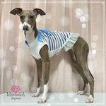 イタグレ用🐕夏に必須のお洋服🏖バンダナ付きマリンボーダータンクトップ🐬✨