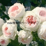 ⭕️milk様専用ページです🙇🏻‍♂️