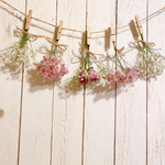 ［再販］ドライフラワー  薔薇とかすみ草 ガーリー スワッグガーランド