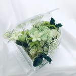 【プリザーブドフラワー／グランドピアノシリーズ】緑色した花たちの癒しの音色（フラワーケースリボンラッピング付き）