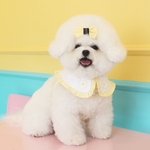 ★ALQEEN★犬服　ラッフルカラー　ギンガムチェック　ハーネス