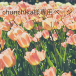 chunchika様専用ページ