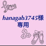 hanagab3745様専用
