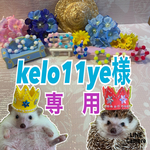 kelo11ye様専用です