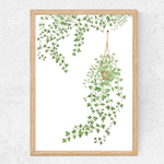 観葉植物✴︎ 水彩画インテリアポスター