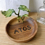 ATOSシリーズ　森の始まり小物入れ３
