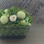Little spring 