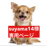 専用ページ