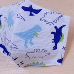 子供マスク＊🦖