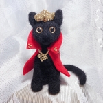 黒猫の王子さま✨
