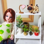小さな観葉植物セット⑤ ハンドメイド ミニチュア