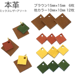 【18枚】本革  accessories mix assorted