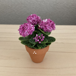紫陽花　ミニチュア花鉢　1