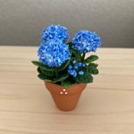 紫陽花　ミニチュア花鉢　2