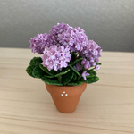 紫陽花　ミニチュア花鉢　4