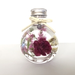 薔薇のハーバリューム