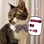 18151018様　専用ページ②　手作りマスク　大きめ大人用　★夏用★