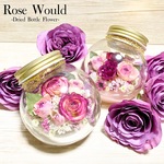 🌿Rose World🌿薔薇の世界 