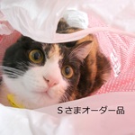 Ｓさまオーダー品