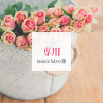 naoichiro様専用です