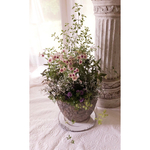 【Y様ご注文品】Happy May Flowers bouquet 